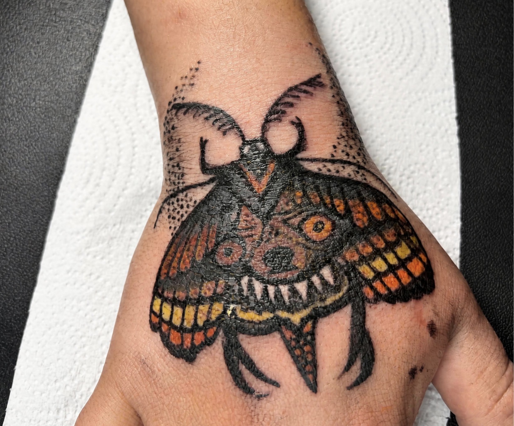 Dog moth